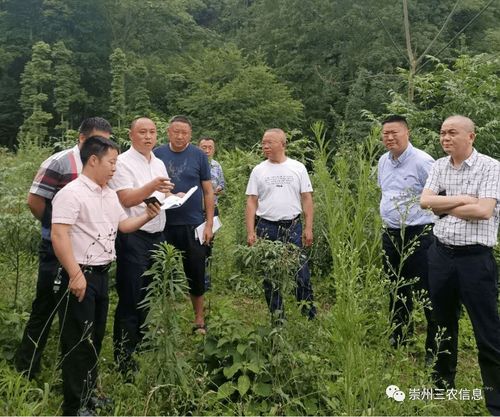 市政府召開(kāi)研究解決新建生豬規(guī)模養(yǎng)殖場(chǎng)有關(guān)問(wèn)題的會(huì)議