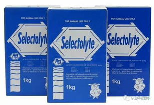 熱烈歡迎規(guī)模養(yǎng)殖場(chǎng)朋友蒞臨科瑞特參觀交流