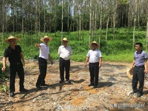 惠州市農業農村局副局長李冠源到龍門縣現場督查中央環保督察整改任務落實情況