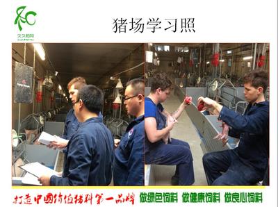 黨廣輝:歐洲現(xiàn)代化高效養(yǎng)豬技術(shù)-荷蘭豬場考察學(xué)習(xí)分享