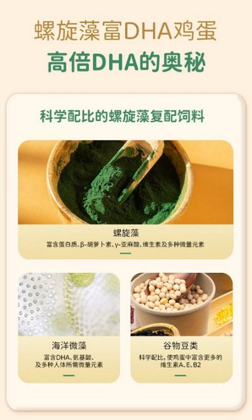破解營養(yǎng)難題 農(nóng)沃豐螺旋藻富dha雞蛋創(chuàng)新 出圈