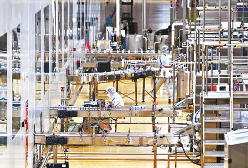 飼料科在武漢市農業發展中的角色與職能