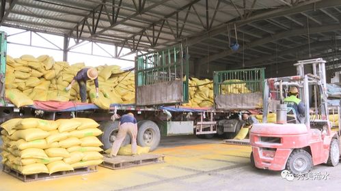 浠水海大飼料 以產(chǎn)品為舵，服務(wù)為帆，護航養(yǎng)殖業(yè)發(fā)展