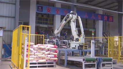 年產值10億元！湖北丹富仕飼料項目建成投產，為畜牧養殖注入強勁動力